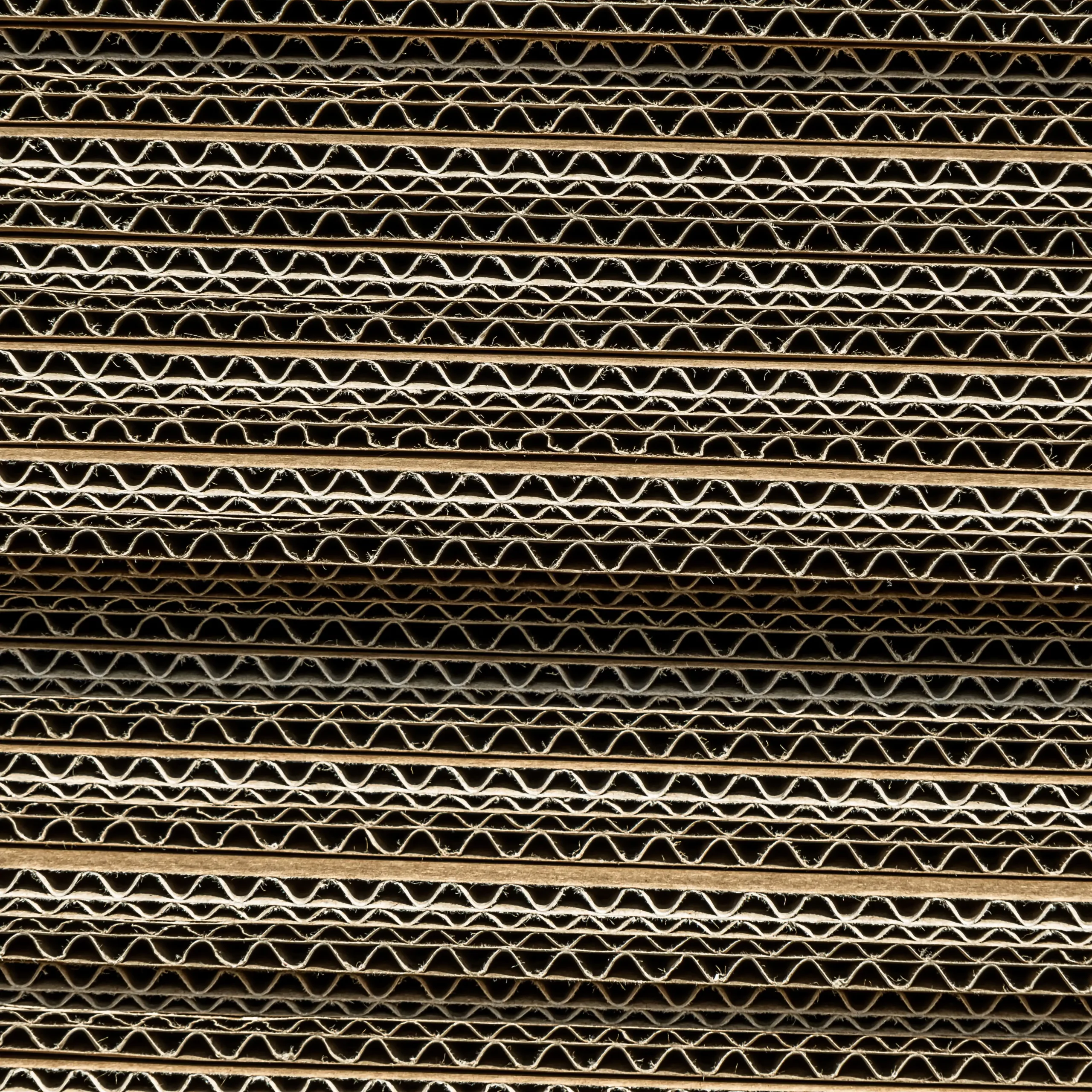 roberto-sorin-7Z1pgI77BoE-unsplash